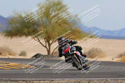 media/Nov-05-2022-SoCal Trackdays (Sat) [[f8d9b725ab]]/Turn 4 Tree of Life (125pm)/